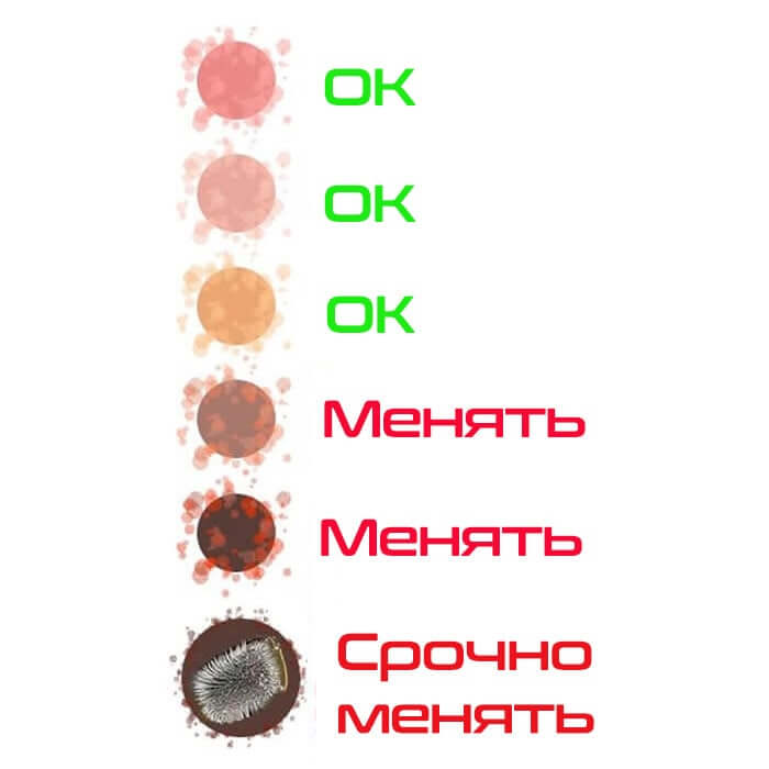 Проверка состояния масла акпп Киа Рио 3 по цвету жидкости