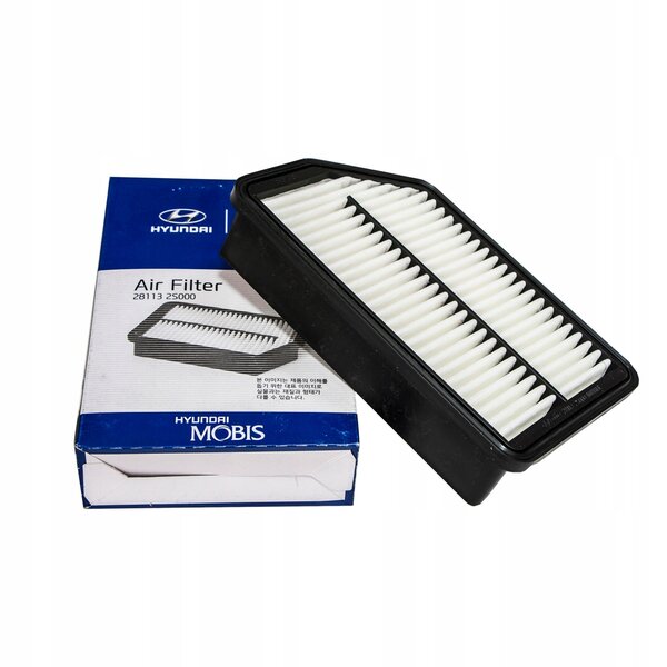 Luftfilter (281132S000)