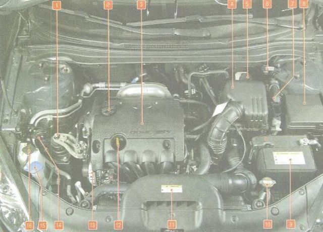 Предохранители Киа Сид: где они, замена