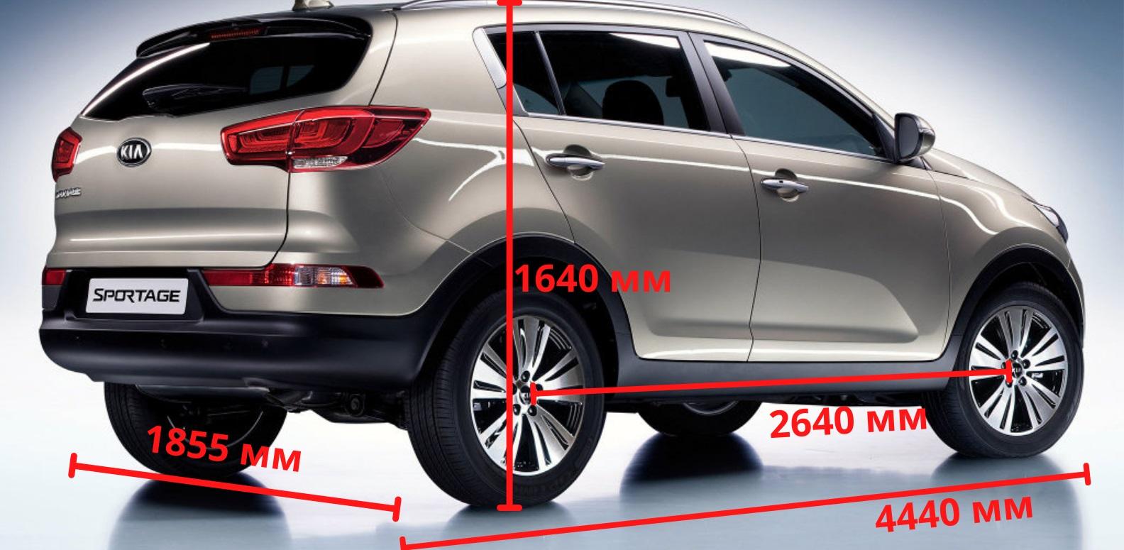 Спортейдж 3 размерности