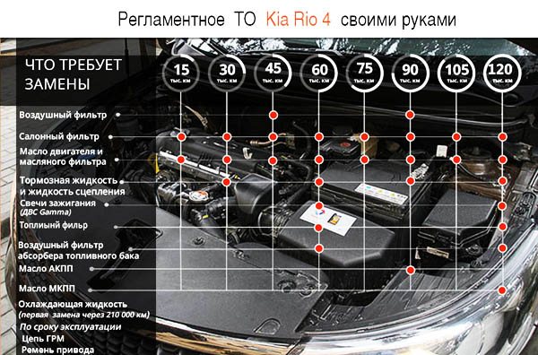 Регламентное ТО Kia Rio 4